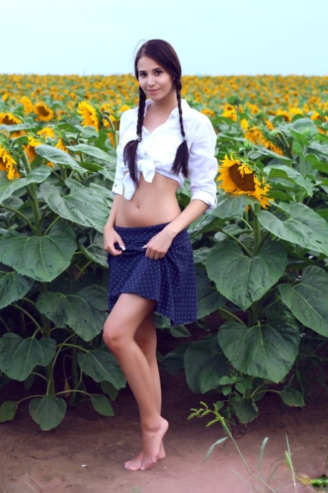 Sweet young Vanessa in pigtails spreading skinny ass naked in the sunflowers